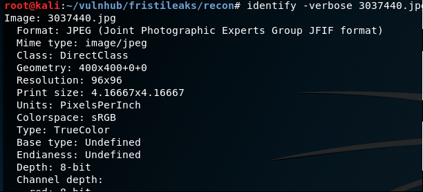 Fristileaks Web Recon - Running 'identify' to extract image data
